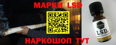 бошки Гагарин