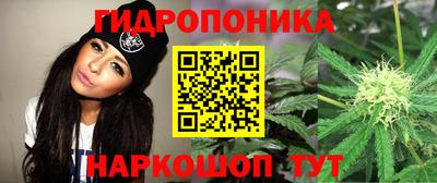 бошки Гагарин